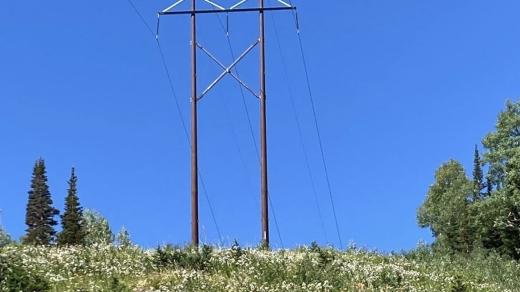Utility Poles - American Timber and Steel